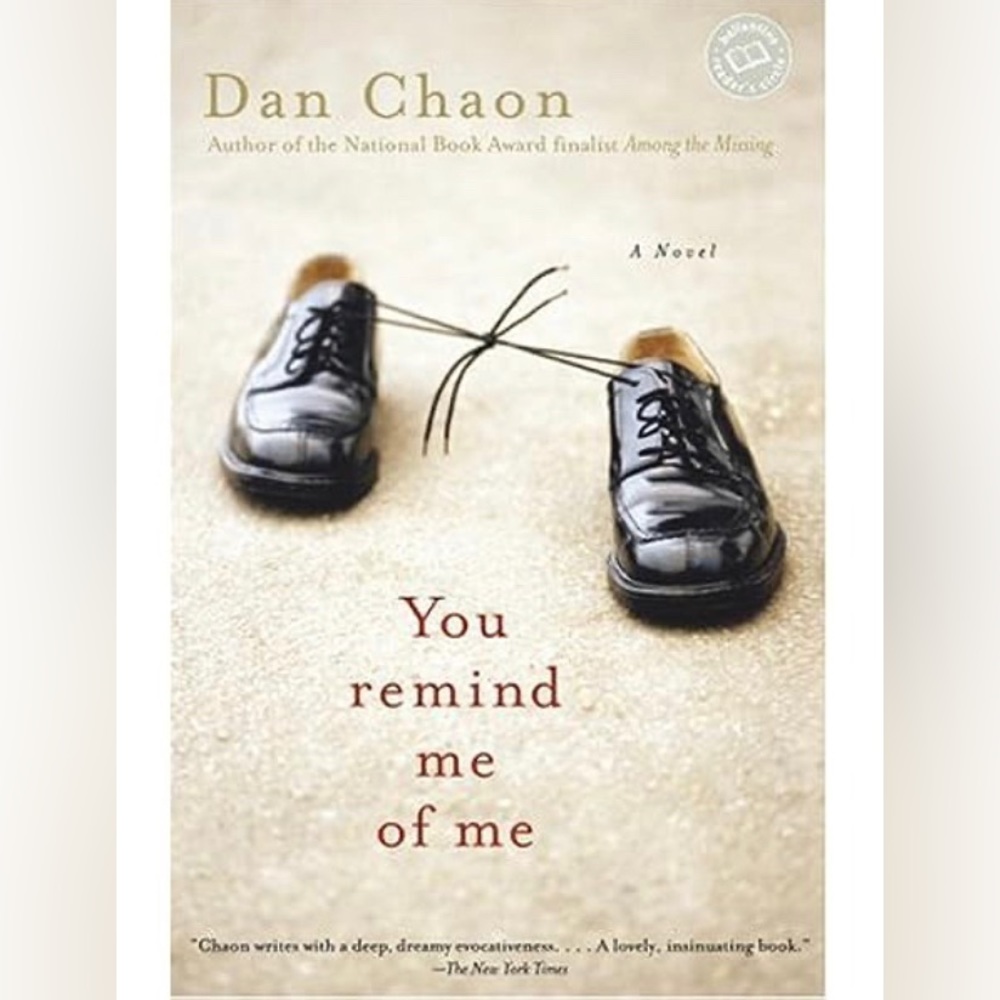 2/$20 “You Remind Me of Me” Hardcover book/novel by Dan Chaon